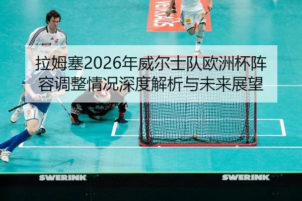 la-mu-sai-nian-wei-er-shi-dui-ou-zhou-bei-zhen-rong-tiao-zheng-qing-kuang-shen-du-jie-xi-yu-wei-lai-zhan-wang-2-287.jpg